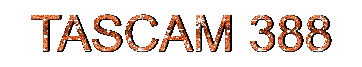 388 Text